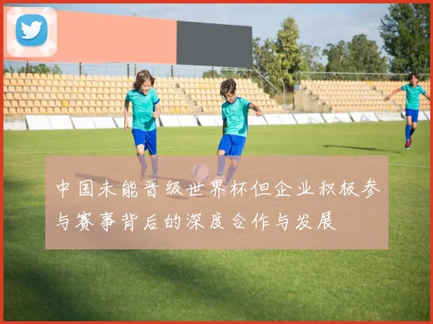 中国未能晋级世界杯但企业积极参与赛事背后的深度合作与发展